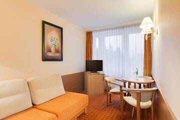 Фото номера Одноместный номер Отель Hotel Perła Południa г. Рытро 4